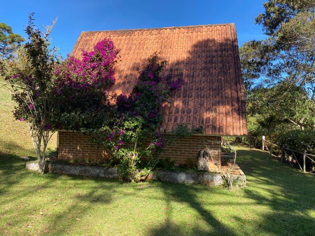 Pousada Sotaque Mineiro Cunha Bagian luar foto